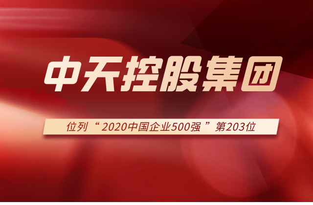 人生就是博集团列2020中国企业500强第203位！